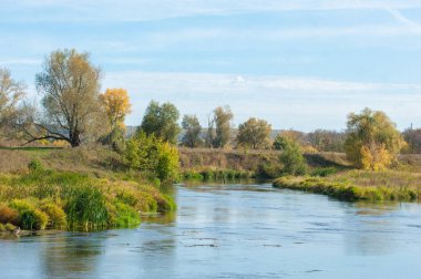 Nehir kenarında sarı yaprakları olan sonbahar ağaçları