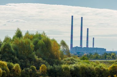 Sonbahar sarı ağaçları Chp ısı ve gücü birleştirdi,