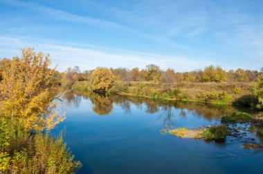 Sarı yapraklar sonbahar ağacı nehri