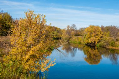 Sarı yapraklar sonbahar ağacı nehri