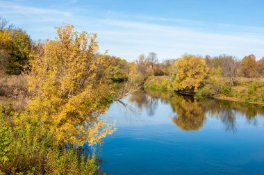 Sarı yapraklar sonbahar ağacı nehri