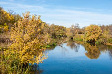 Sarı yapraklar sonbahar ağacı nehri