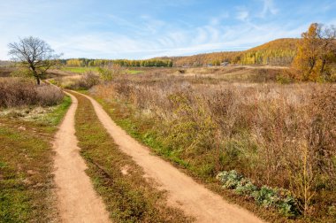 Sarı yapraklı ağaçlarla kaplı sonbahar tepeleri