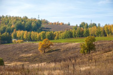 Sarı yapraklı ağaçlarla kaplı sonbahar tepeleri