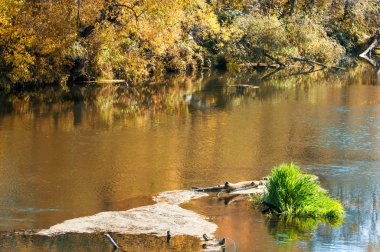 Fall River, küçük adalar. sarı ağaçlar