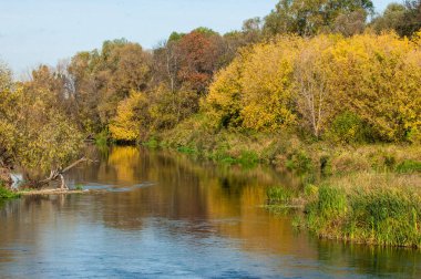Fall River, küçük adalar. sarı ağaçlar