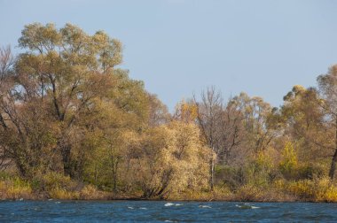 Şelale. Güzel bir kur ile gölün üzerinde sonbahar yeşillikleri