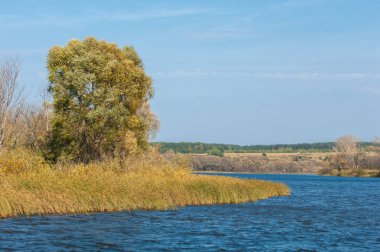 Şelale. Güzel bir kur ile gölün üzerinde sonbahar yeşillikleri