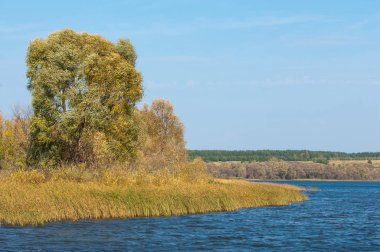 Şelale. Güzel bir kur ile gölün üzerinde sonbahar yeşillikleri