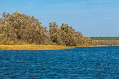Şelale. Güzel bir kur ile gölün üzerinde sonbahar yeşillikleri