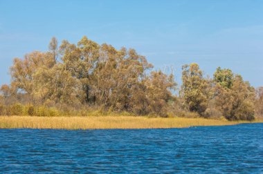 Şelale. Güzel bir kur ile gölün üzerinde sonbahar yeşillikleri