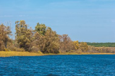 Şelale. Güzel bir kur ile gölün üzerinde sonbahar yeşillikleri