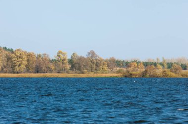 Rusya Tataristan Kama Nehri Güz