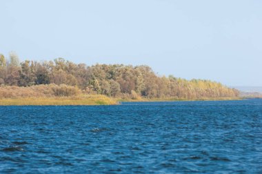 Rusya Tataristan Kama Nehri Güz