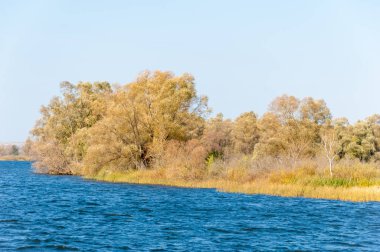 Rusya Tataristan Kama Nehri Güz