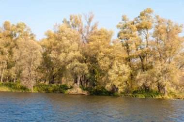 Rusya Tataristan Kama Nehri Güz