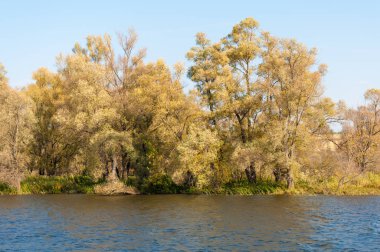 Rusya Tataristan Kama Nehri Güz