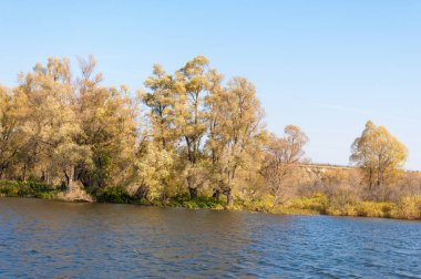 Rusya Tataristan Kama Nehri Güz