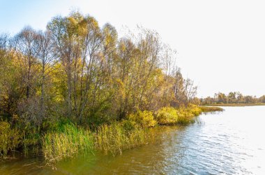Rusya Tataristan Kama Nehri Güz