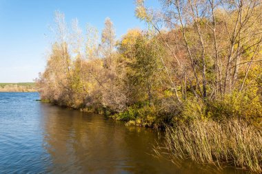 Rusya Tataristan Kama Nehri Güz