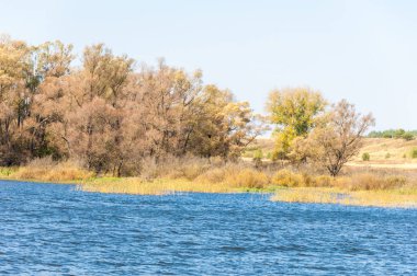 Rusya Tataristan Kama Nehri Güz