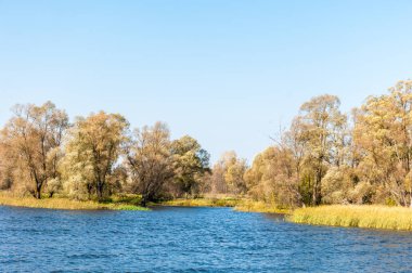 Rusya Tataristan Kama Nehri Güz