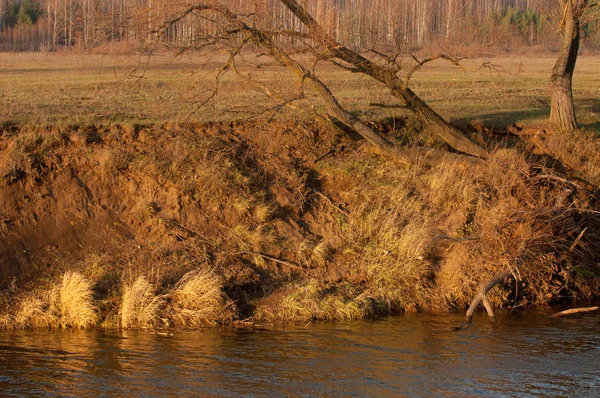 River in autumn — Zdjęcie stockowe