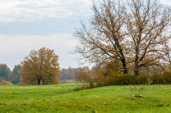 秋天废弃的高尔夫球场 — 图库照片