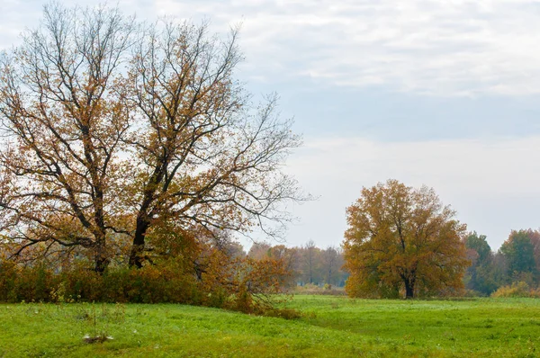 Podzim opustil golfové hřiště — Stock fotografie