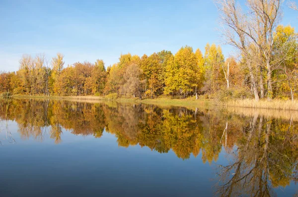 Calmo de outono no reflexo de lago de árvores em água — Fotografia de Stock