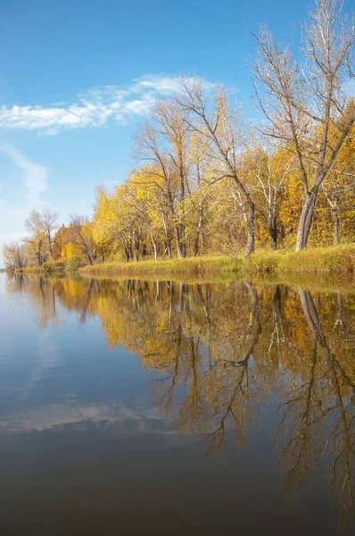 秋天平静的湖面上倒映着水面上的树木 — 图库照片