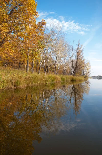 Sonbahar, sudaki ağaçların göldeki yansıması üzerine sessizdir.