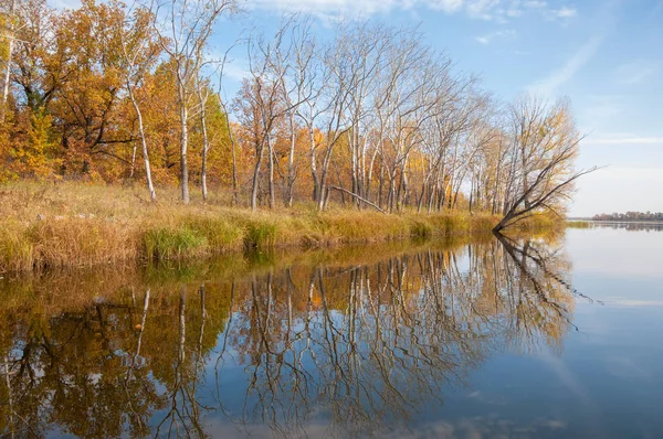 Otoño tranquilo en el lago reflejo de los árboles en el agua — Foto de Stock