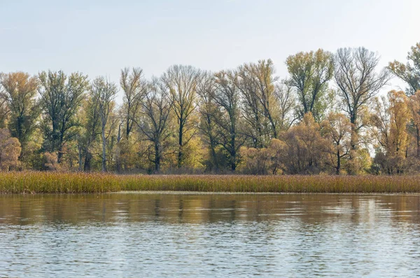 Jesienny spokój nad jeziorem odbicie drzew w wodzie — Zdjęcie stockowe