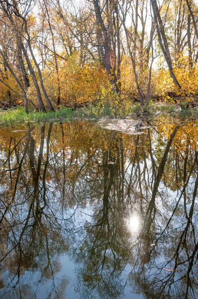 Autumn calm on the lake reflection of trees in water — Stock Photo, Image