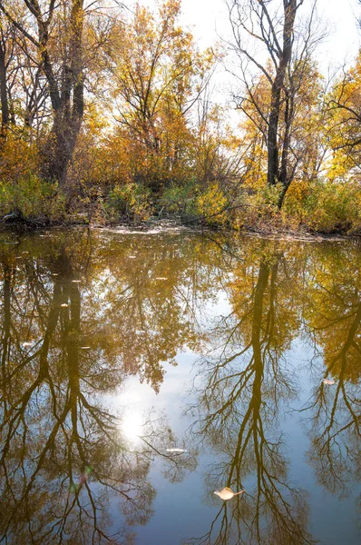 Calma autunnale sul lago riflesso degli alberi in acqua — Foto Stock