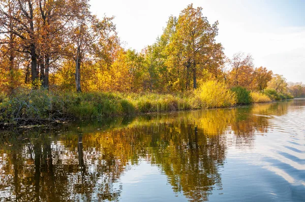 Sonbahar, sudaki ağaçların göldeki yansıması üzerine sessizdir.