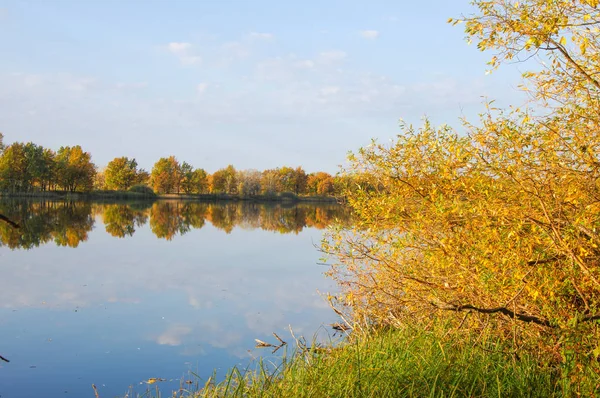 Осенние деревья озера, зеленая трава — стоковое фото