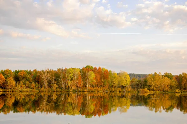 Outono árvores de cana lago, grama verde — Fotografia de Stock