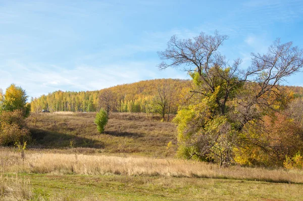 Herfstbomen met gele bladeren bij de rivier — Stockfoto