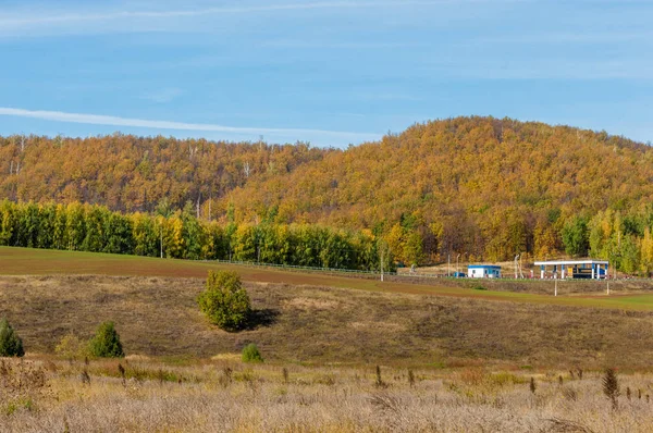 Sonbahar, sarı yapraklar tepelerde ağaçlar — Stok fotoğraf