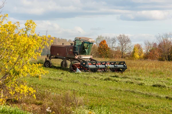 Autumn meadow for mowing grass — Stock Photo, Image