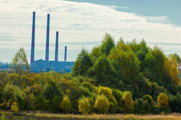 Automne arbres jaunes cogénération chaleur et électricité combinées , — Photo