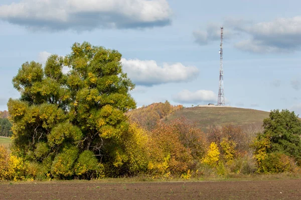 autumn yellow trees foothills. telephone relay tower
