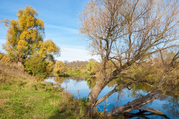 Feuilles jaunes automne arbre rivière — Photo