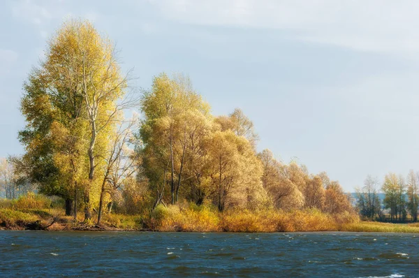 Πέφτει ποτάμι. Φθινόπωρο πολύχρωμο φύλλωμα πάνω από τη λίμνη με όμορφο woo — Φωτογραφία Αρχείου