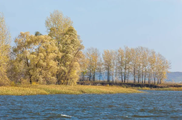 掉进河里 秋天五彩斑斓的树叶掠过美丽的湖面 — 图库照片