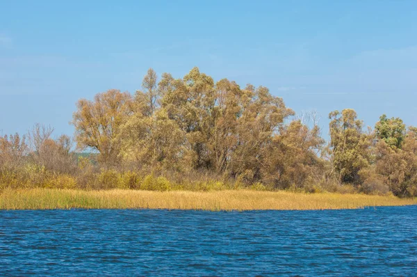 Tomber rivière. Automne feuillage coloré sur le lac avec belle courtisse — Photo