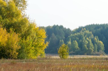 Sonbahar, sonbahar, yapraklar dökülüyor, yapraklar dökülüyor. Yılın üçüncü sezonu, yaprakların döküldüğü.