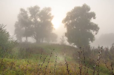 Sonbahar, Güz, yaprak sonbahar, sonbahar yaprak